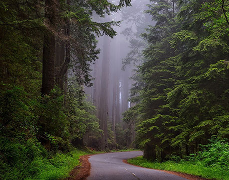 Nature Landscapes